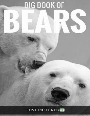 Book cover for Bears