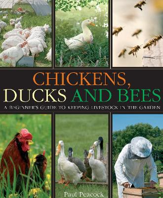 Book cover for Chickens, Ducks and Bees