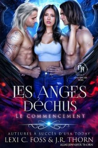 Cover of Les anges déchus