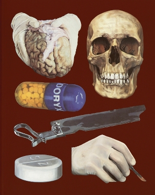 Book cover for Damien Hirst: The Elusive Truth