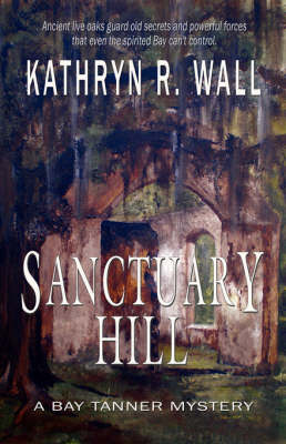 Cover of Sanctuary Hill