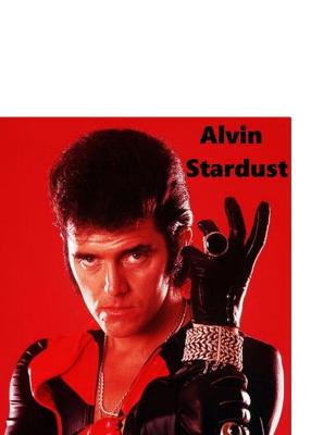 Book cover for Alvin Stardust