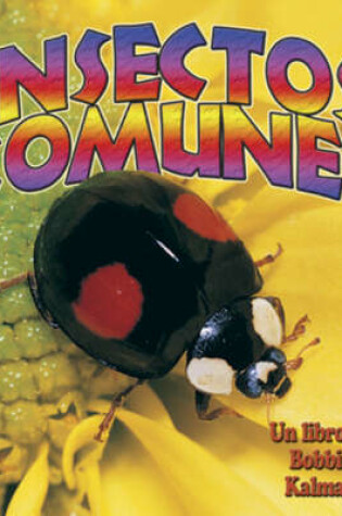 Cover of Insectos Comunes