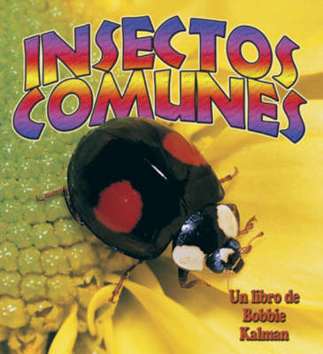 Book cover for Insectos Comunes