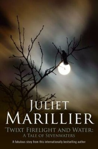 Cover of Twixt Firelight and Water