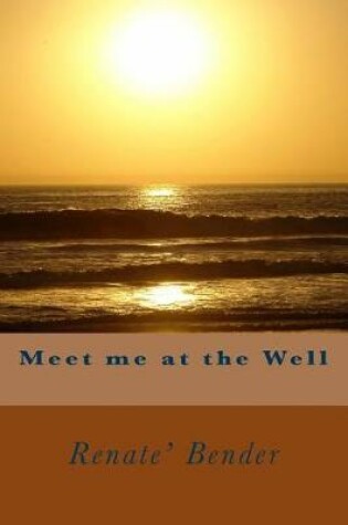 Cover of Meet Me at the Well