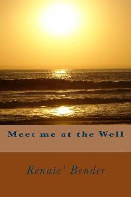 Book cover for Meet Me at the Well