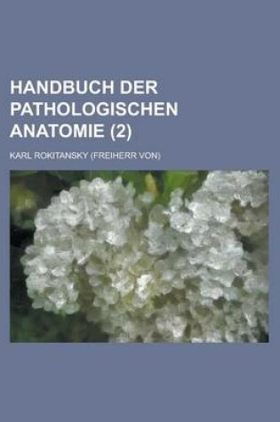 Cover of Handbuch Der Pathologischen Anatomie (2)