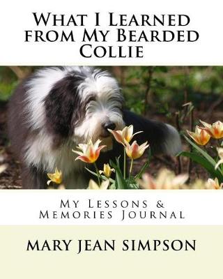 Book cover for What I Learned from My Bearded Collie