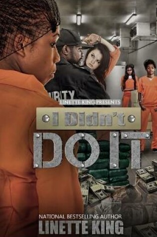 Cover of I didn't do it