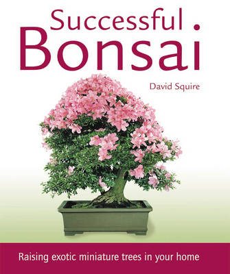 Book cover for Successful Bonsai