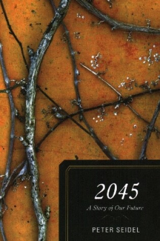 Cover of 2045