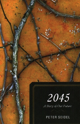 Book cover for 2045