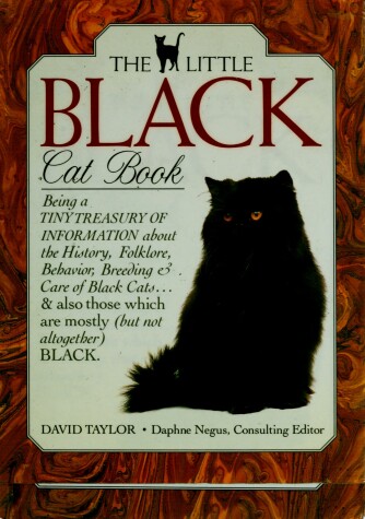 Book cover for The Little Black Cat Book