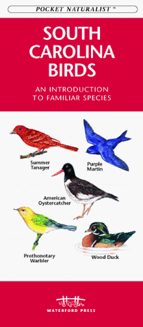 Book cover for South Carolina Birds
