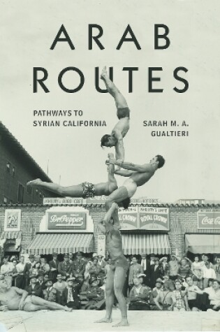 Cover of Arab Routes