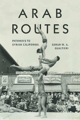 Book cover for Arab Routes