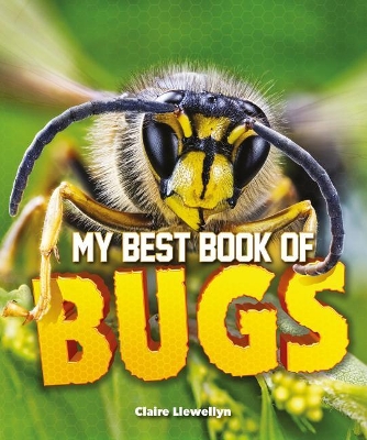 Book cover for My Best Book of Bugs