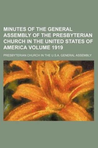 Cover of Minutes of the General Assembly of the Presbyterian Church in the United States of America Volume 1919