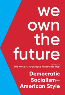 Book cover for We Own The Future