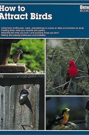 Cover of How to Attract Birds