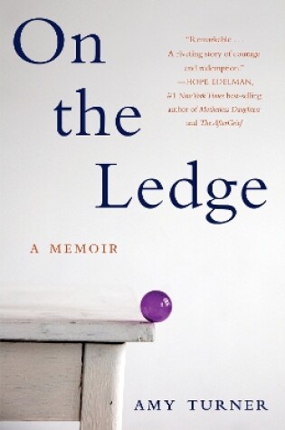 Cover of On the Ledge