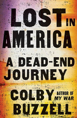 Book cover for Lost in America