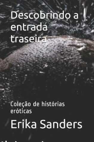 Cover of Descobrindo a entrada traseira