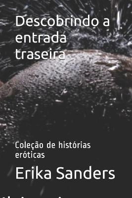 Book cover for Descobrindo a entrada traseira