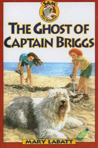 Cover of The Ghost of Captain Briggs