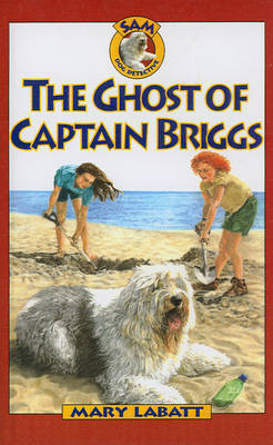 Book cover for The Ghost of Captain Briggs