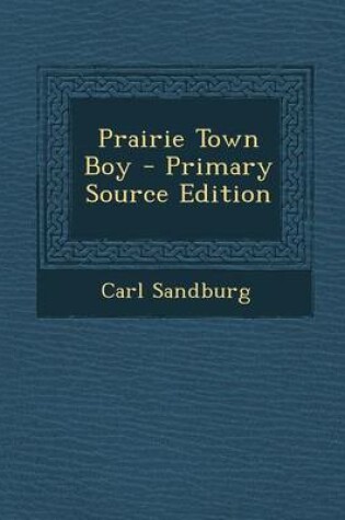 Cover of Prairie Town Boy - Primary Source Edition