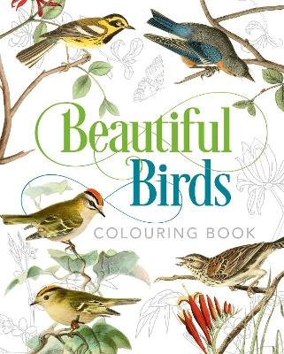 Book cover for Beautiful Birds Colouring Book