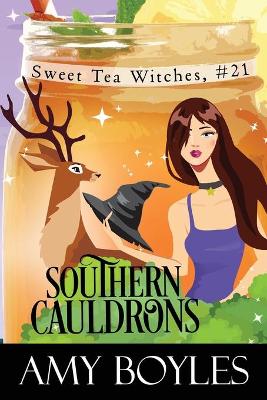 Book cover for Southern Cauldrons