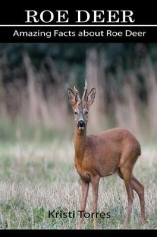 Cover of Amazing Facts about Roe Deer