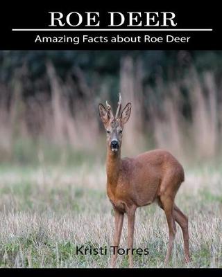 Book cover for Amazing Facts about Roe Deer