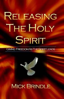 Book cover for Releasing the Holy Spirit