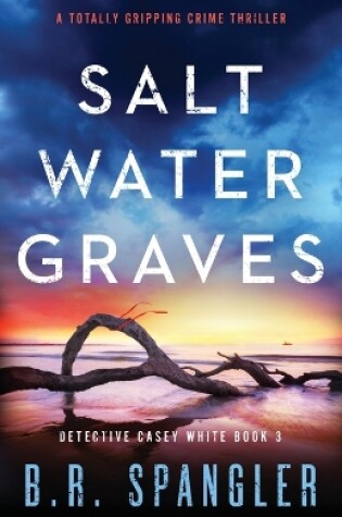 Cover of Saltwater Graves