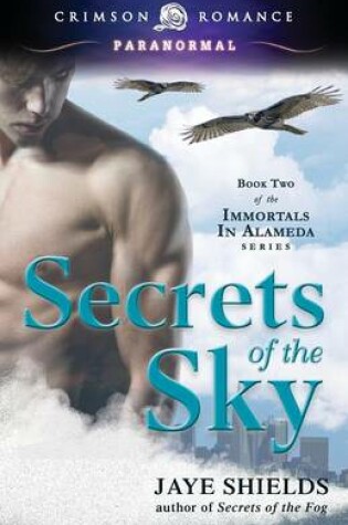 Cover of Secrets of the Sky