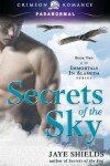 Book cover for Secrets of the Sky