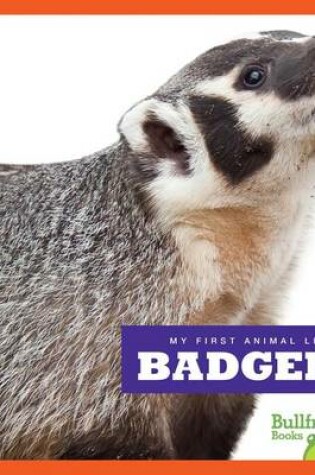 Cover of Badgers