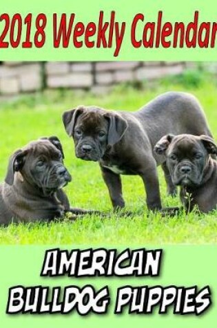 Cover of 2018 Weekly Calendar American Bulldog Puppies