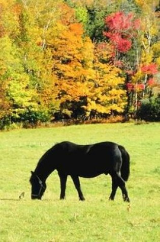 Cover of 2020 Daily Planner Horse Photo Equine Grazing Horse Fall Foliage 388 Pages