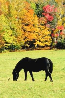 Book cover for 2020 Daily Planner Horse Photo Equine Grazing Horse Fall Foliage 388 Pages