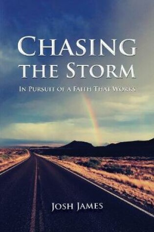 Cover of Chasing the Storm