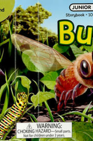 Cover of Bugs! Board Book