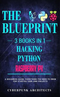 Book cover for Raspberry Pi & Hacking & Python