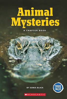 Cover of Animal Mysteries