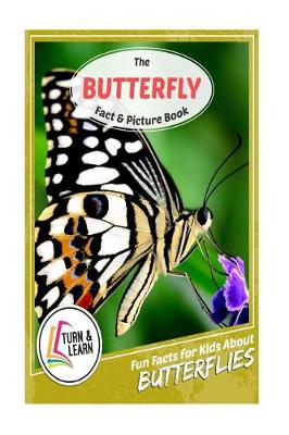 Book cover for The Butterfly Fact and Picture Book