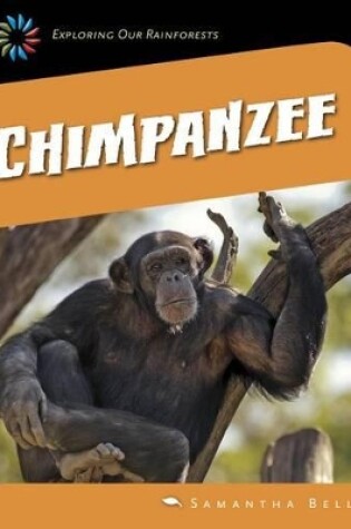 Cover of Chimpanzee